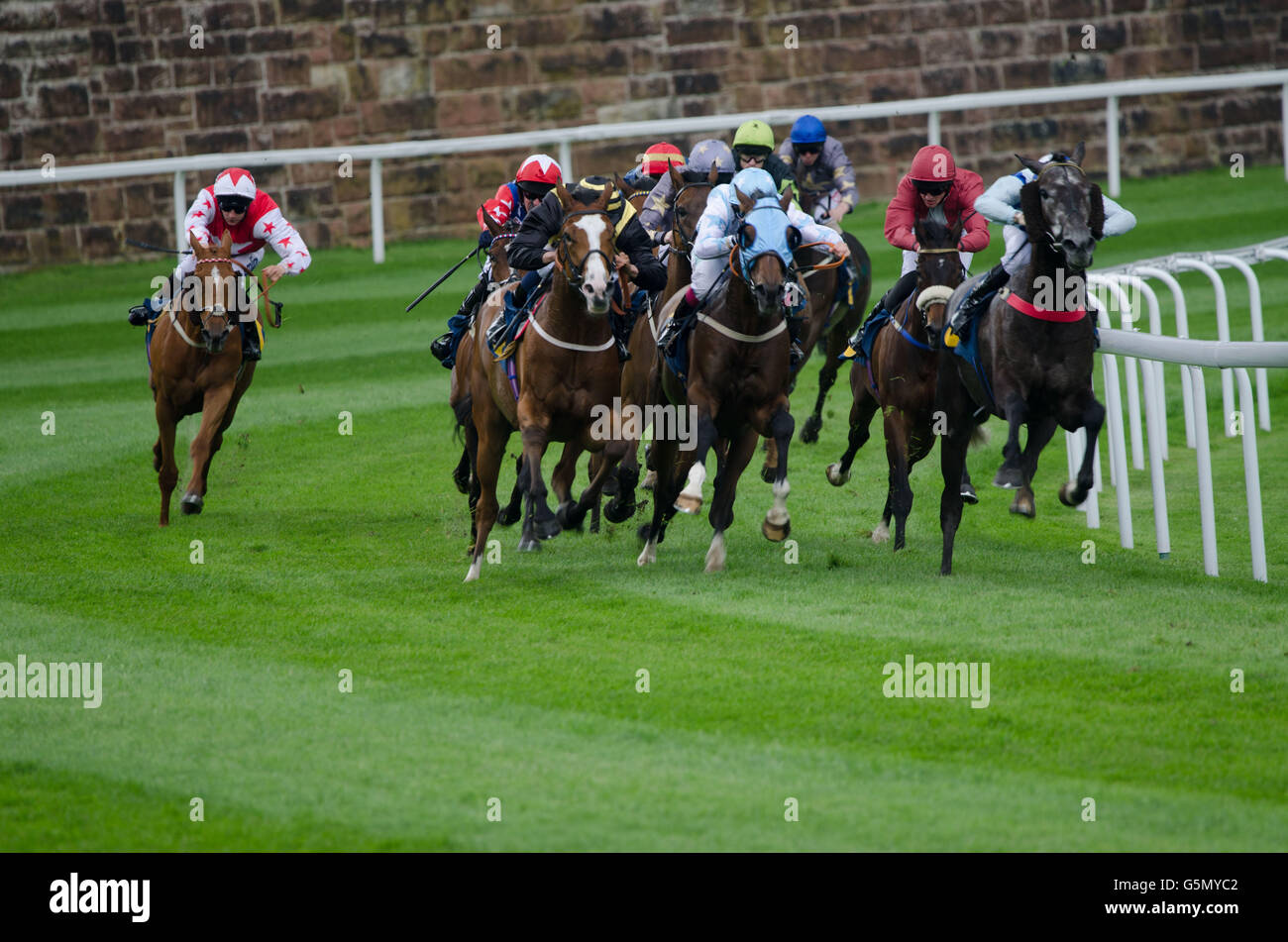 Chester Races Horse High Resolution Stock Photography and Images - Alamy