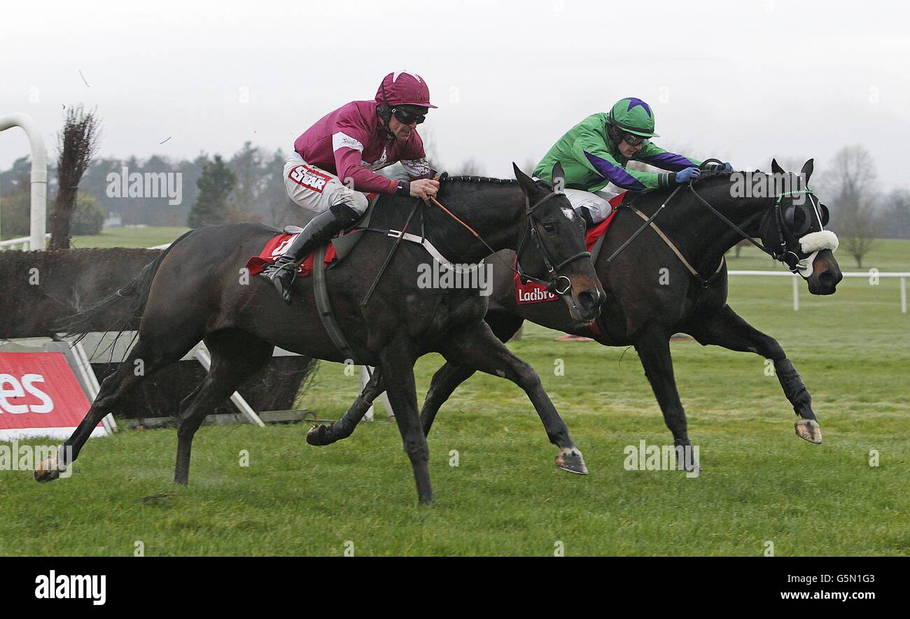 20+ Horse racing results navan best strategy