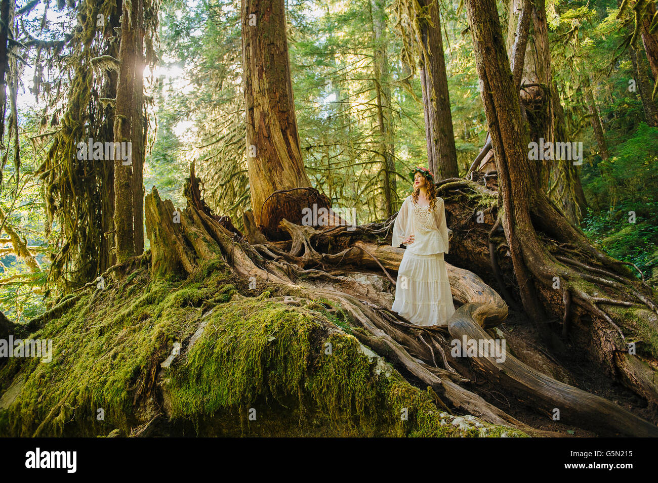 Caucasian woman standing on root in forest Stock Photo