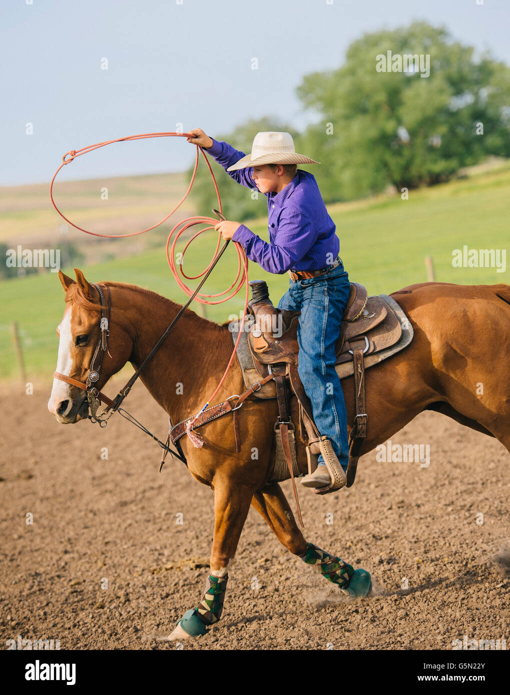 Cowboy throwing lasso on horseback Stock Photo