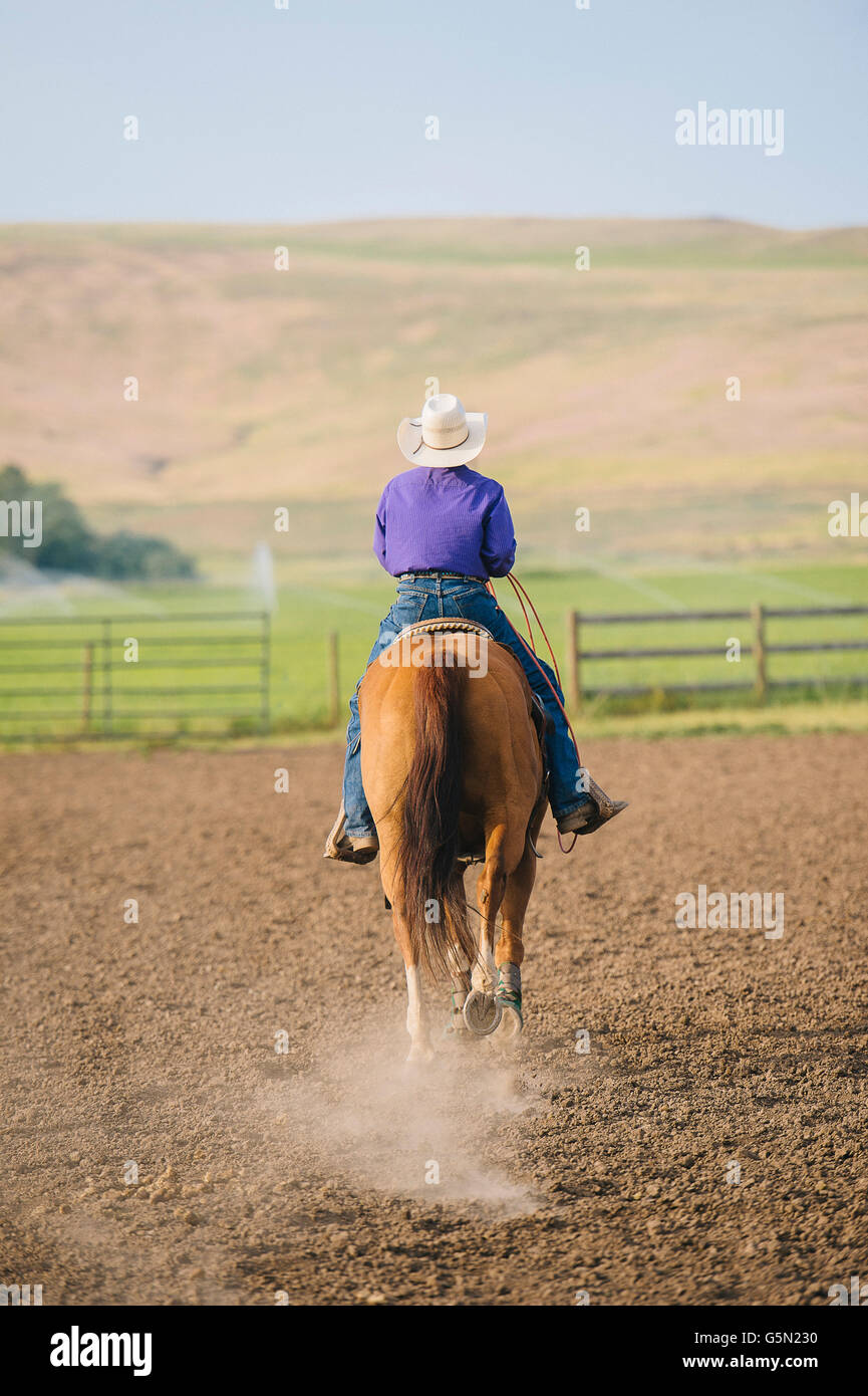 Cowboy riding horseback on ranch Stock Photo
