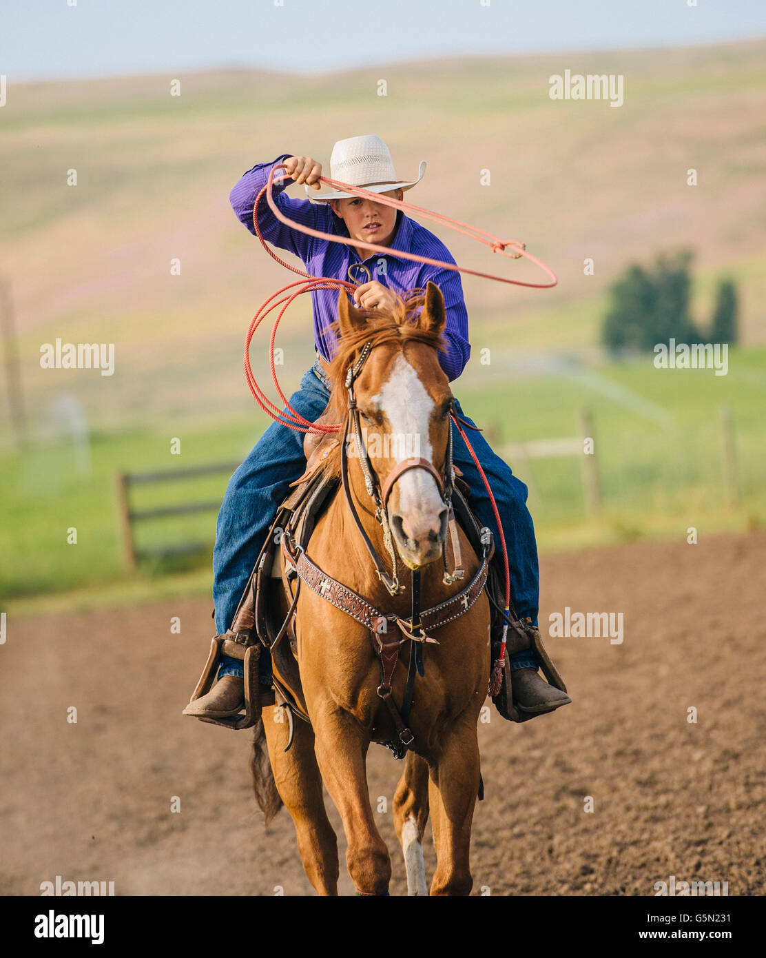 Cowboy throwing lasso on horseback Stock Photo