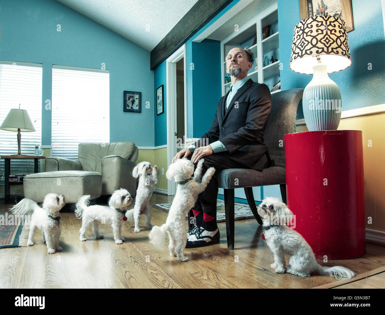 Caucasian businessman ignoring begging dogs Stock Photo