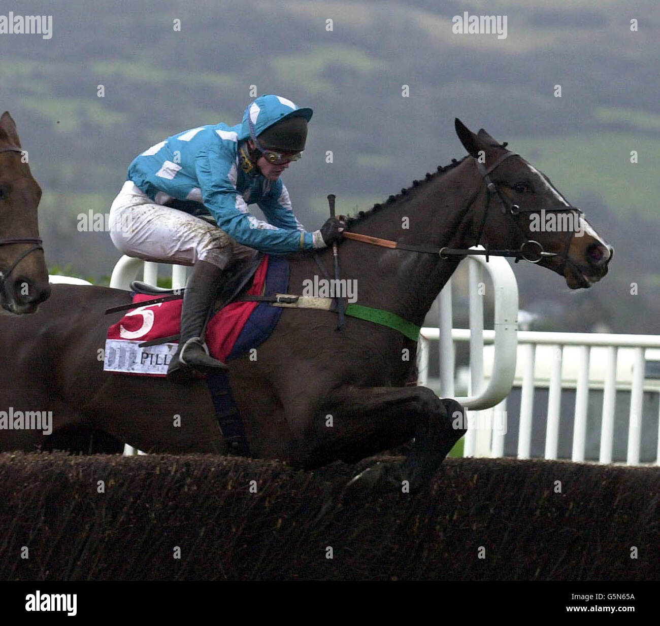 HORSE RACING Go Ballistic Stock Photo Alamy