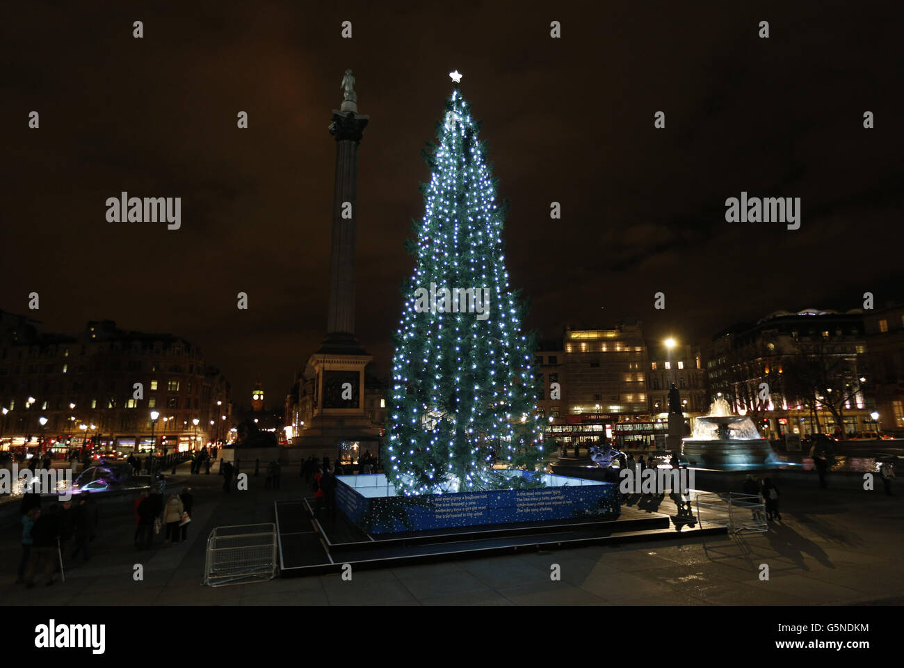 A general view of the Christmas tree in Trafalgar Square, London Stock