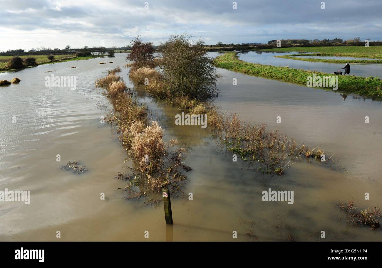 Dog walker finds path alongside the floodwater from pocklington canal