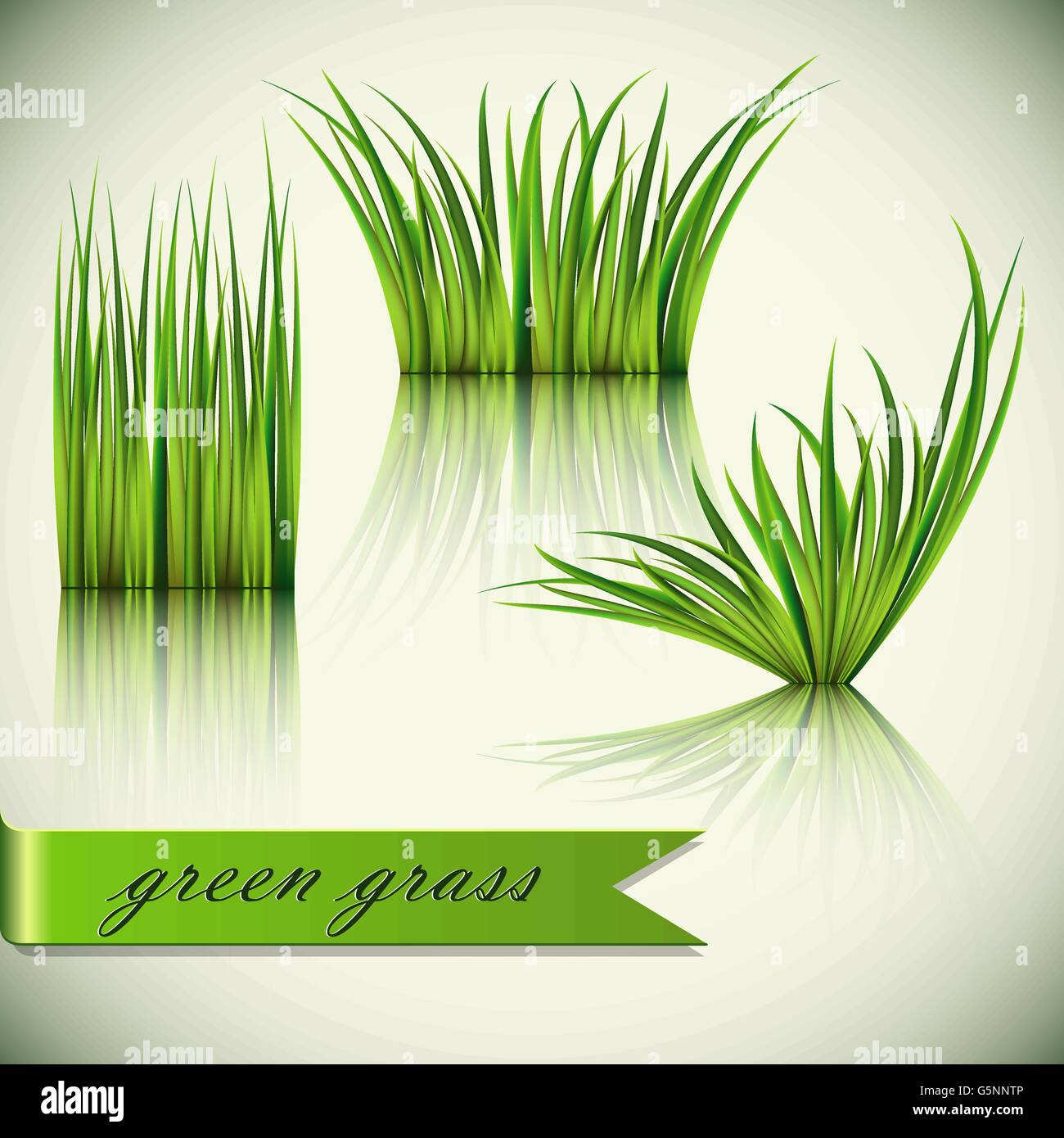 Fragments of the green grass isolated on green background. Vector illustration. Stock Vector
