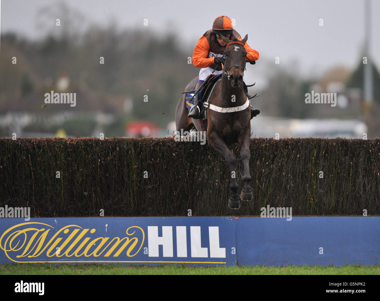 Sam Waley-Cohen on board Rajdhani Express clears the last on the way to winning the second race, the William Hill - Download The App Novices' Handicap Chase Stock Photo