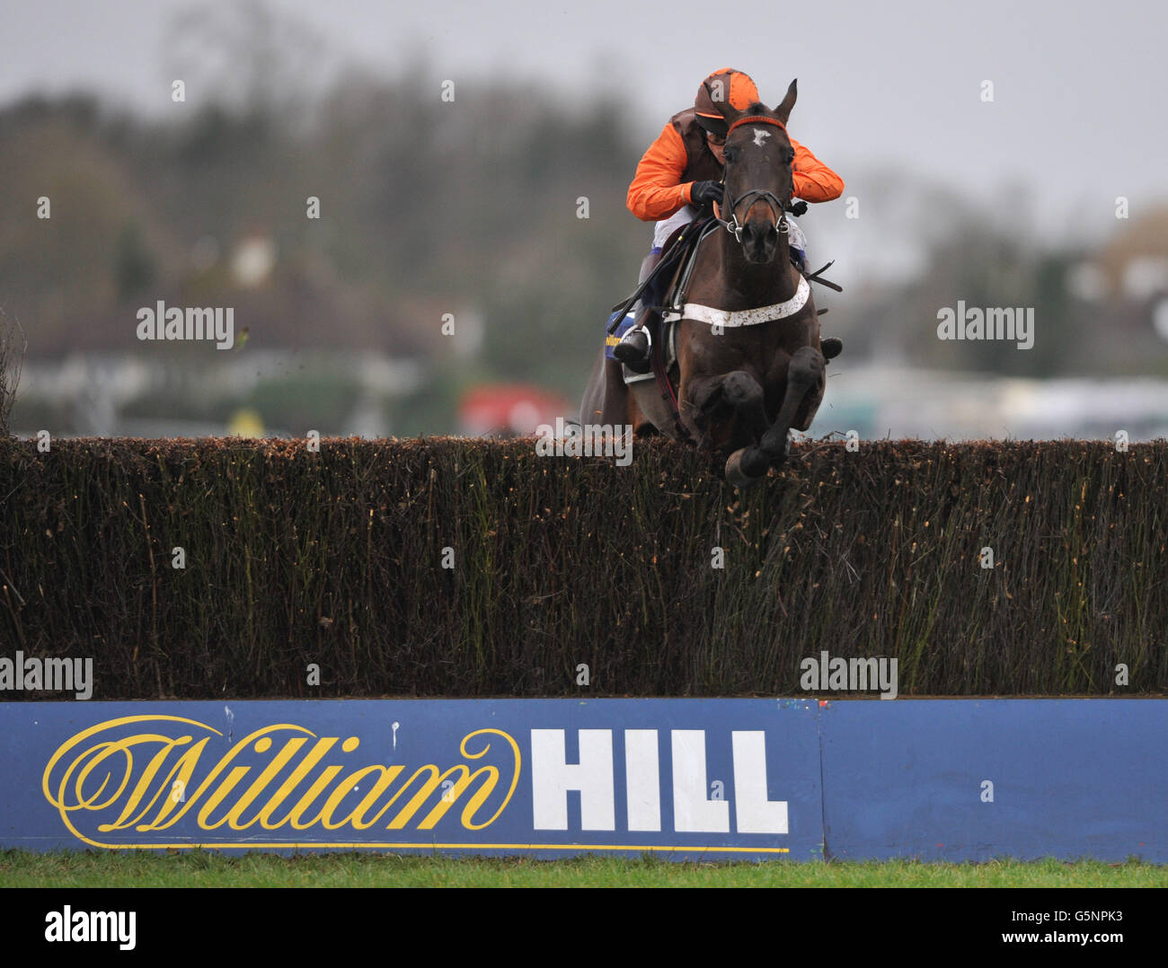 Sam Waley-Cohen on board Rajdhani Express clears the last on the way to winning the second race, the William Hill - Download The App Novices' Handicap Chase Stock Photo