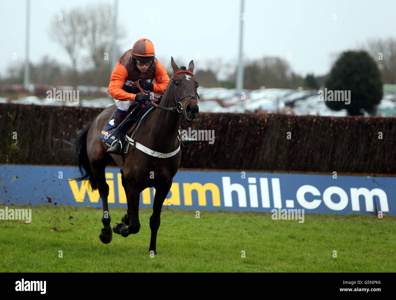 Rajdhani Express ridden by Sam Waley-Cohen wins the William Hill - Download The App Novices Handicap Steeple Chase during the William Hill Winter Festival at Kempton Park Racecourse, Middlesex. Stock Photo