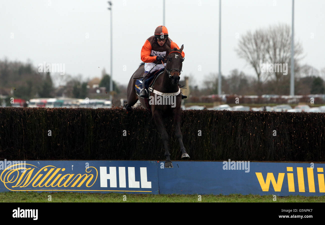 Rajdhani Express ridden by Sam Waley-Cohen wins the William Hill - Download The App Novices Handicap Steeple Chase during the William Hill Winter Festival at Kempton Park Racecourse, Middlesex. Stock Photo