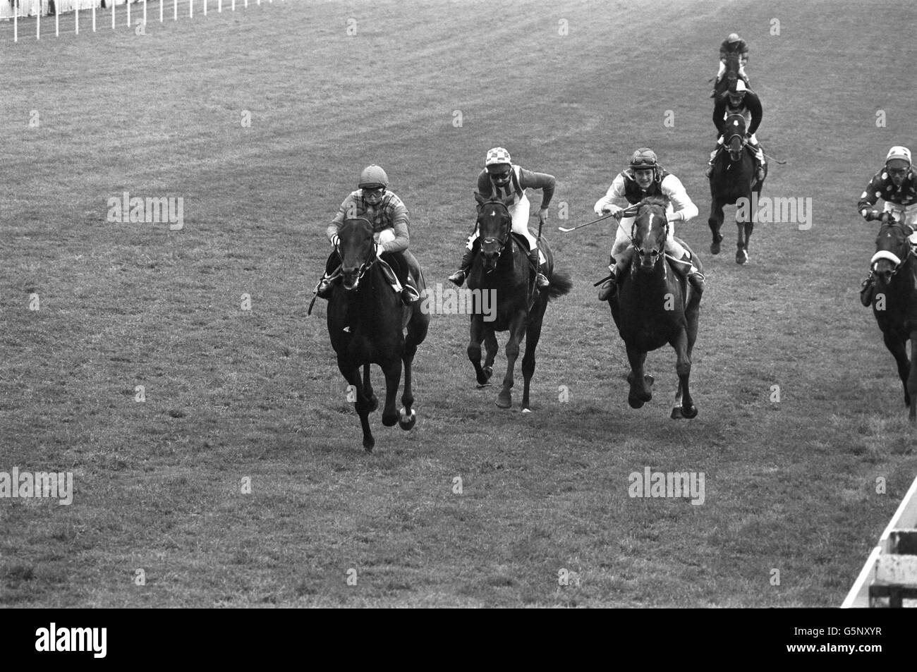The final stretch of the Moet & Chandon Silver Magnum for amateur riders at Epsom. (l-r) Tim Easterby on Sea Pigeon, Eddie Woods on McAdam and John Hills on Humdoleila. Stock Photo