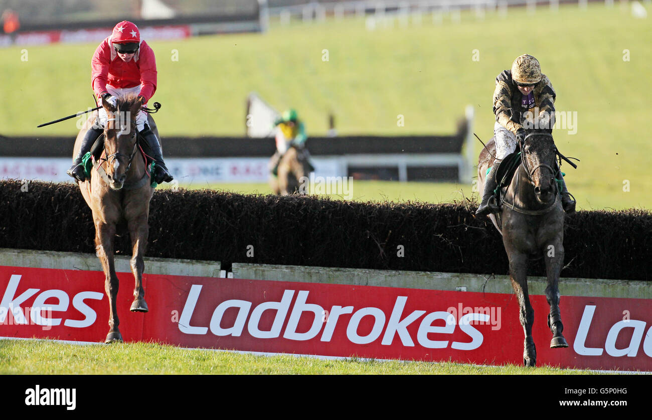 Horse Racing Navan Racecourse High Resolution Stock Photography And Images Alamy