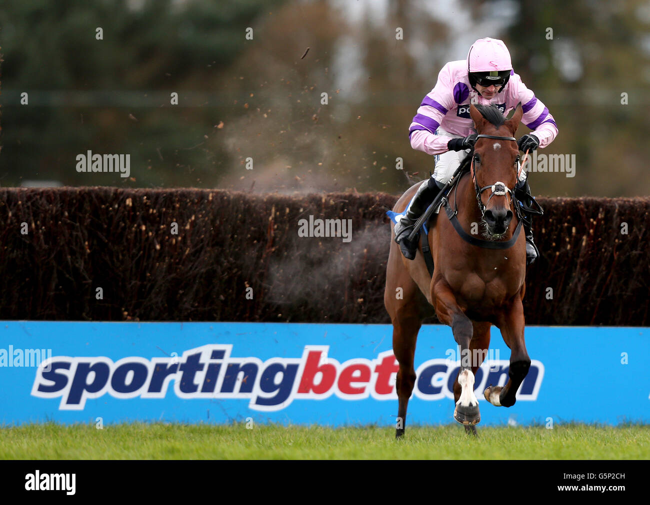 Horse Racing - Exeter Racecourse. Hinterland ridden by Ruby Walsh during the Gain Horse Feeds Novices' Chase Stock Photo