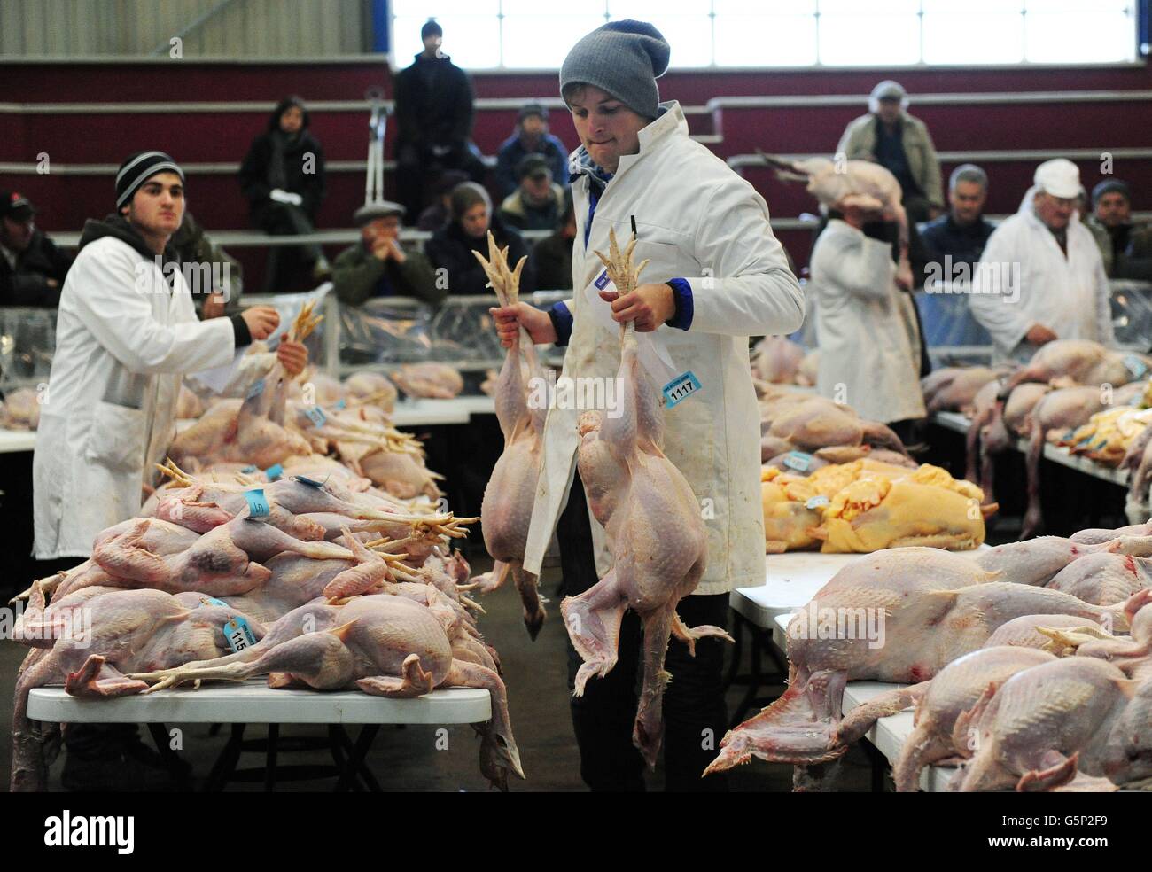 The annual Christmas Poultry Sale of turkeys, geese, chicken and ducks