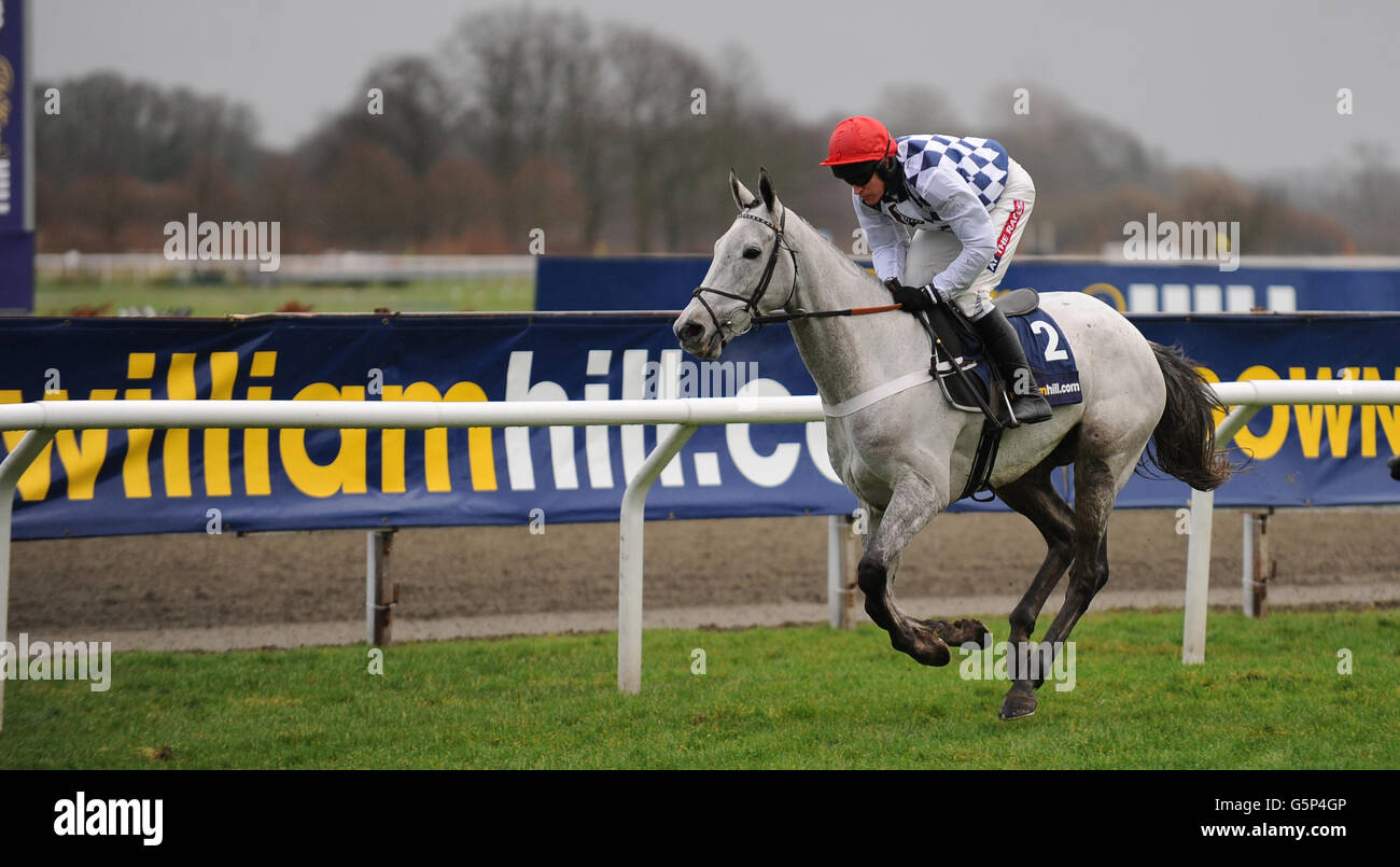 Horse Racing - William Hill Winter Festival - Day Two - Kempton Park Racecourse. Simonsig ridden by Barry Geraghty wins The williamhill.com Novices Steeple Chase. Stock Photo