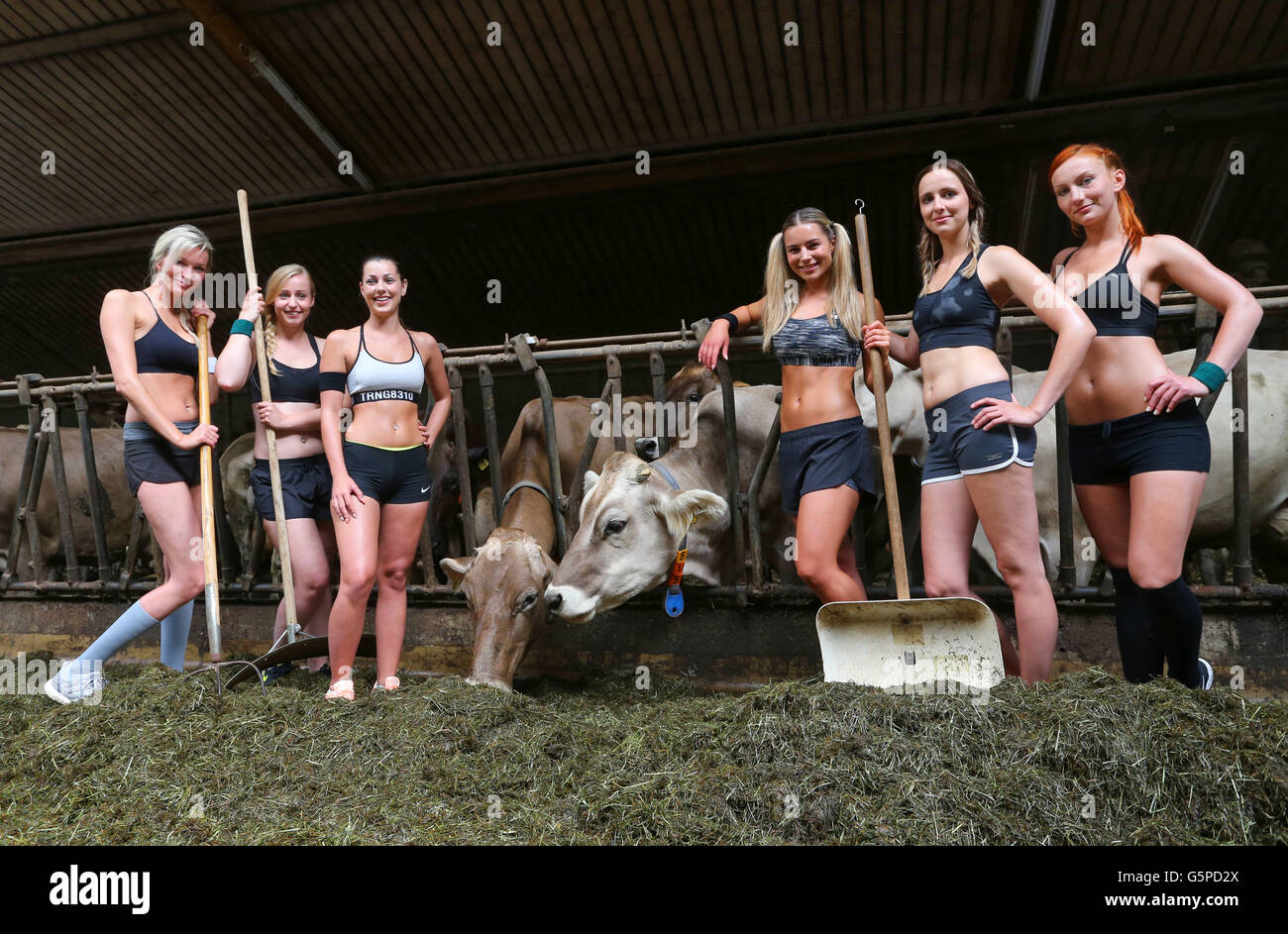 Apfeldorf, Germany. 22nd June, 2016. Farmers Caroline (L-R), Sofia, Elena, Viktoria, Daniel, a and Veronika pose in a cow stall for journalists on a tractor on a farm in Apfeldorf, Germany, 22 June 2016. A press event offers a view into the production of the 2017 Young Farmers calendar, the theme of which is 'crossfit on the farm.' Photo: Karl-Josef Hildenbrand /dpa/Alamy Live News Stock Photo