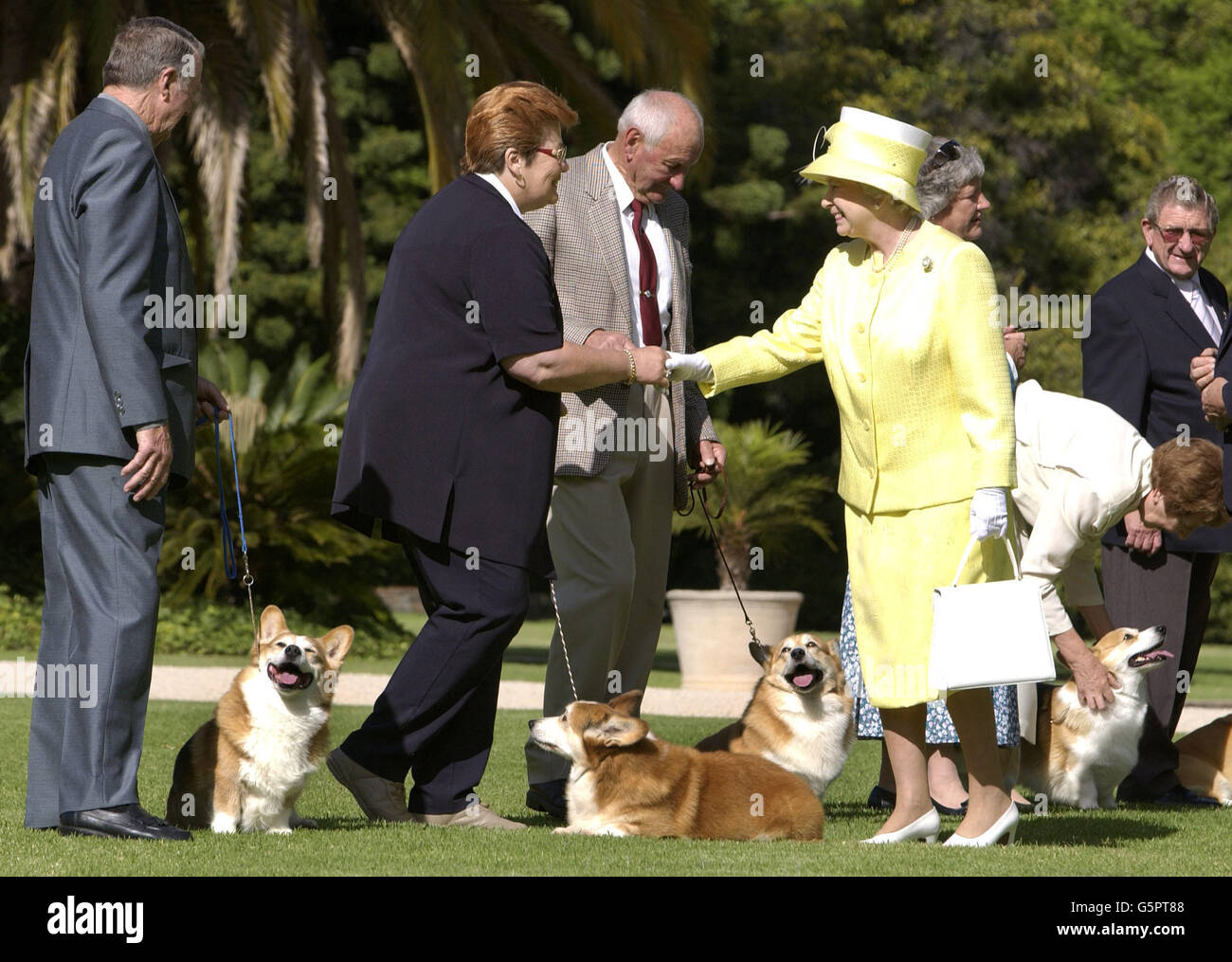 Queen Elizabeth II meets the Adelaide Kennel Club corgi owners on the lawn of Government House in Adelaide, during her tour of Australia, as part of her Jubilee Royal Visit overseas. * The owners and dogs are (L to R) Ken Mansfield with Rocky, Cheryl Sheppard with Jimmy, Harry Painter with with Bobby and Corinne Webb (bending) with Wade. Stock Photo