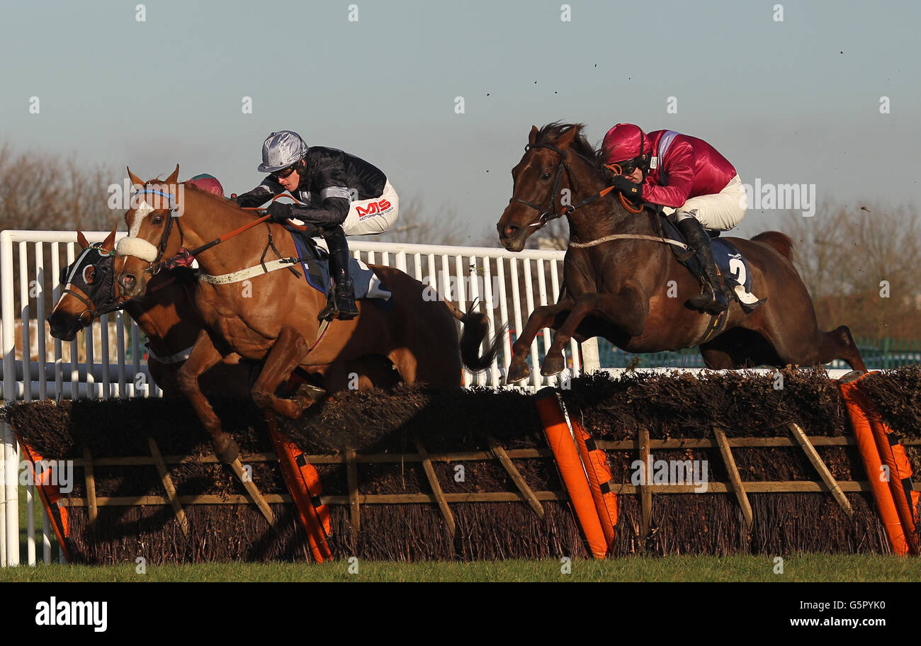 Horse Racing Doncaster Racecourse Stock Photo Alamy