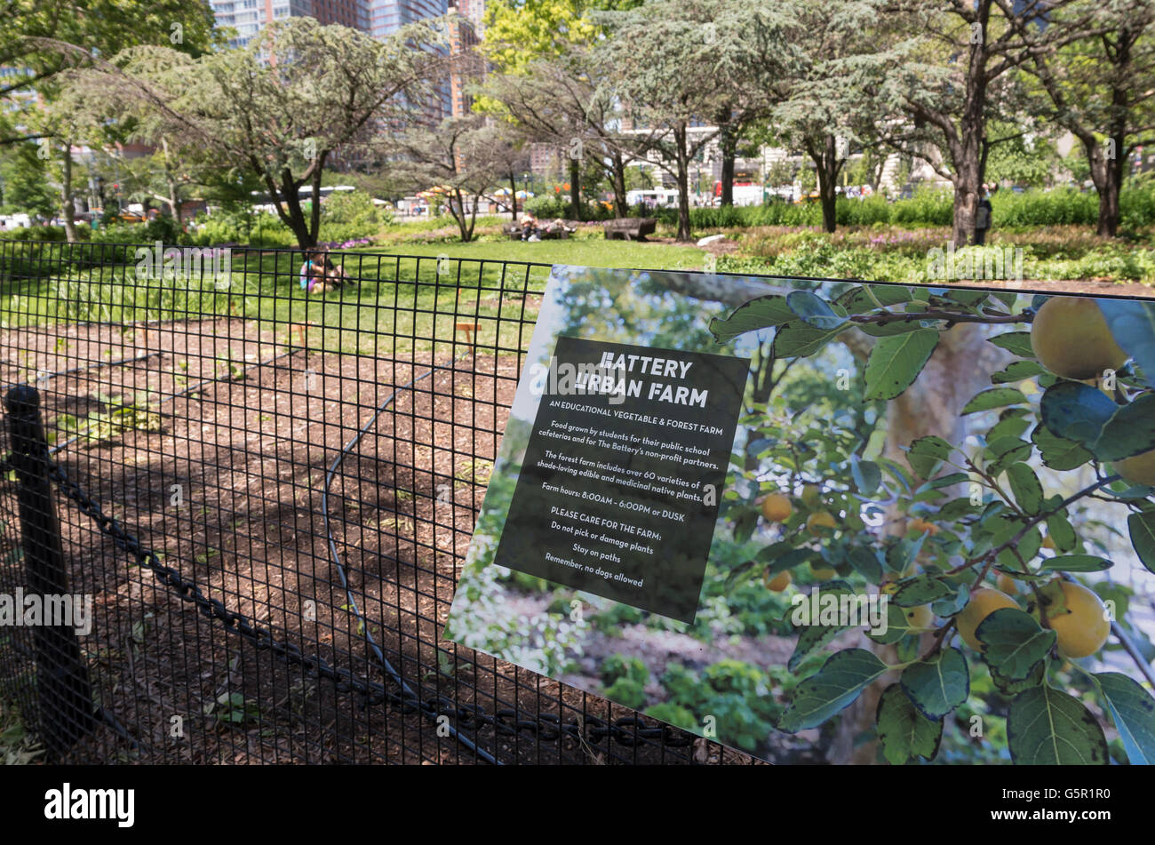 Battery Urban farm in Battery Park, New York, is an educational forest