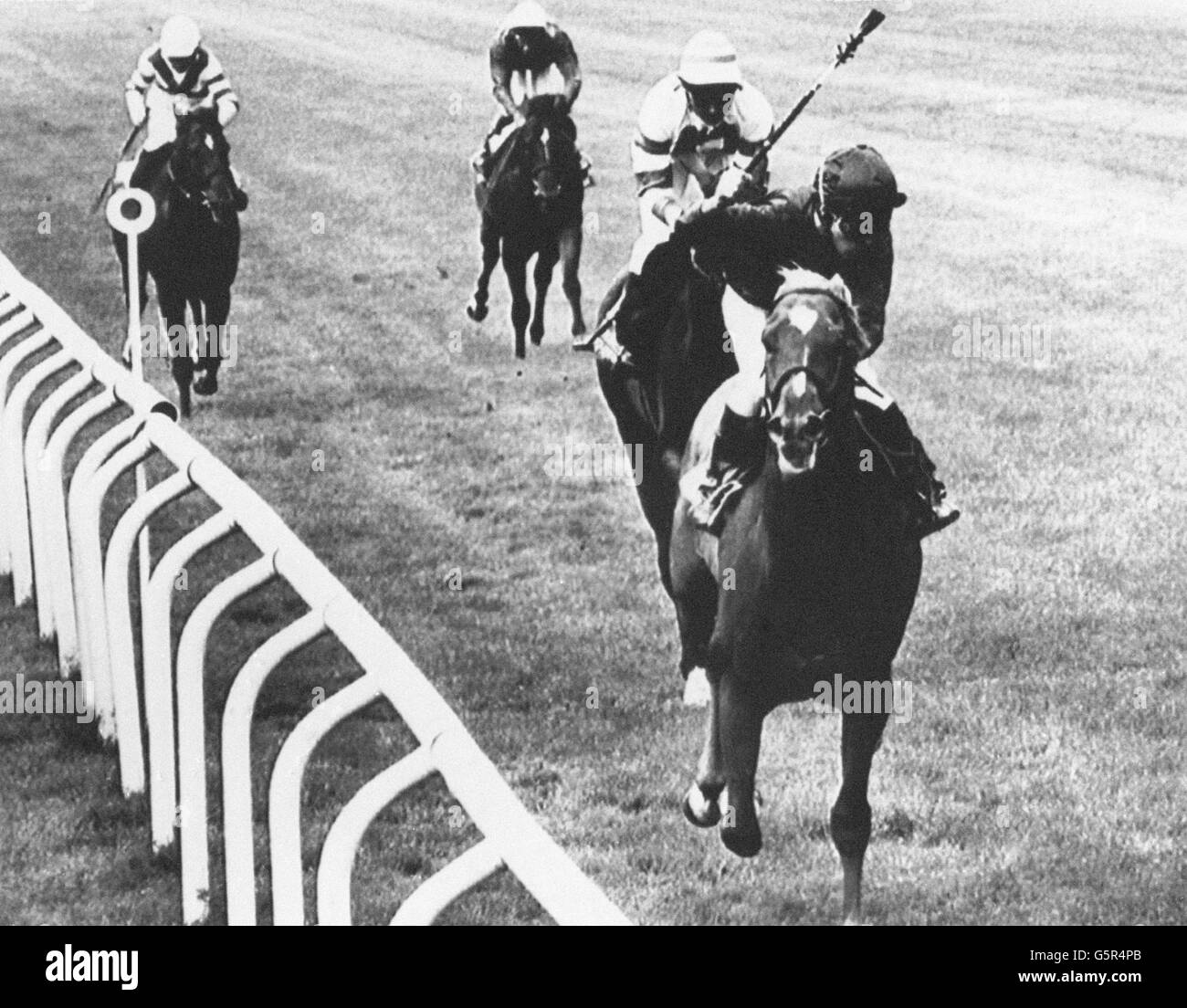 Pa240989 hires stock photography and images Alamy