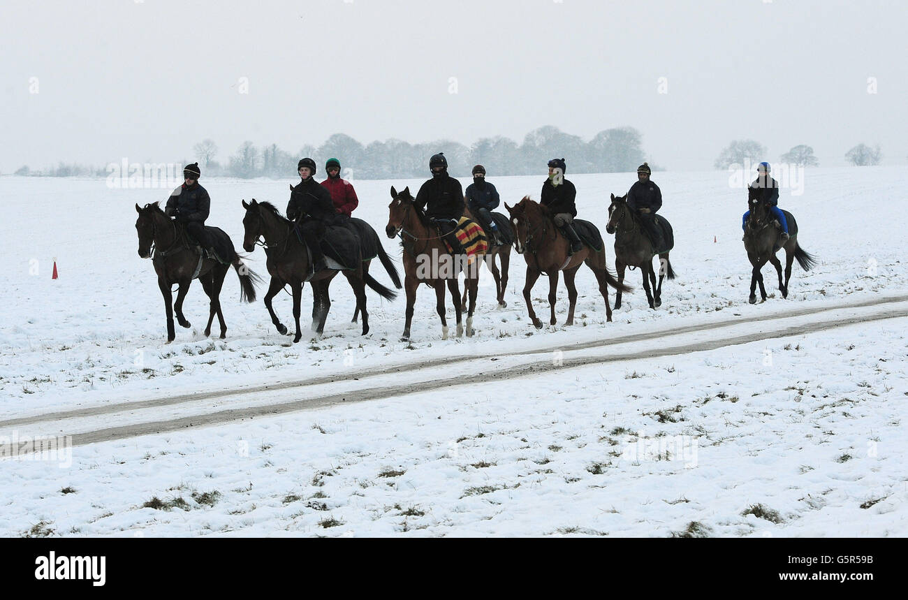 Horse Racing Malton Gallops. As many race meetings are abandoned due