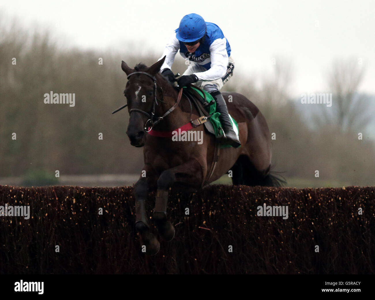 Horse Racing January 2025 Riane Jacklyn
