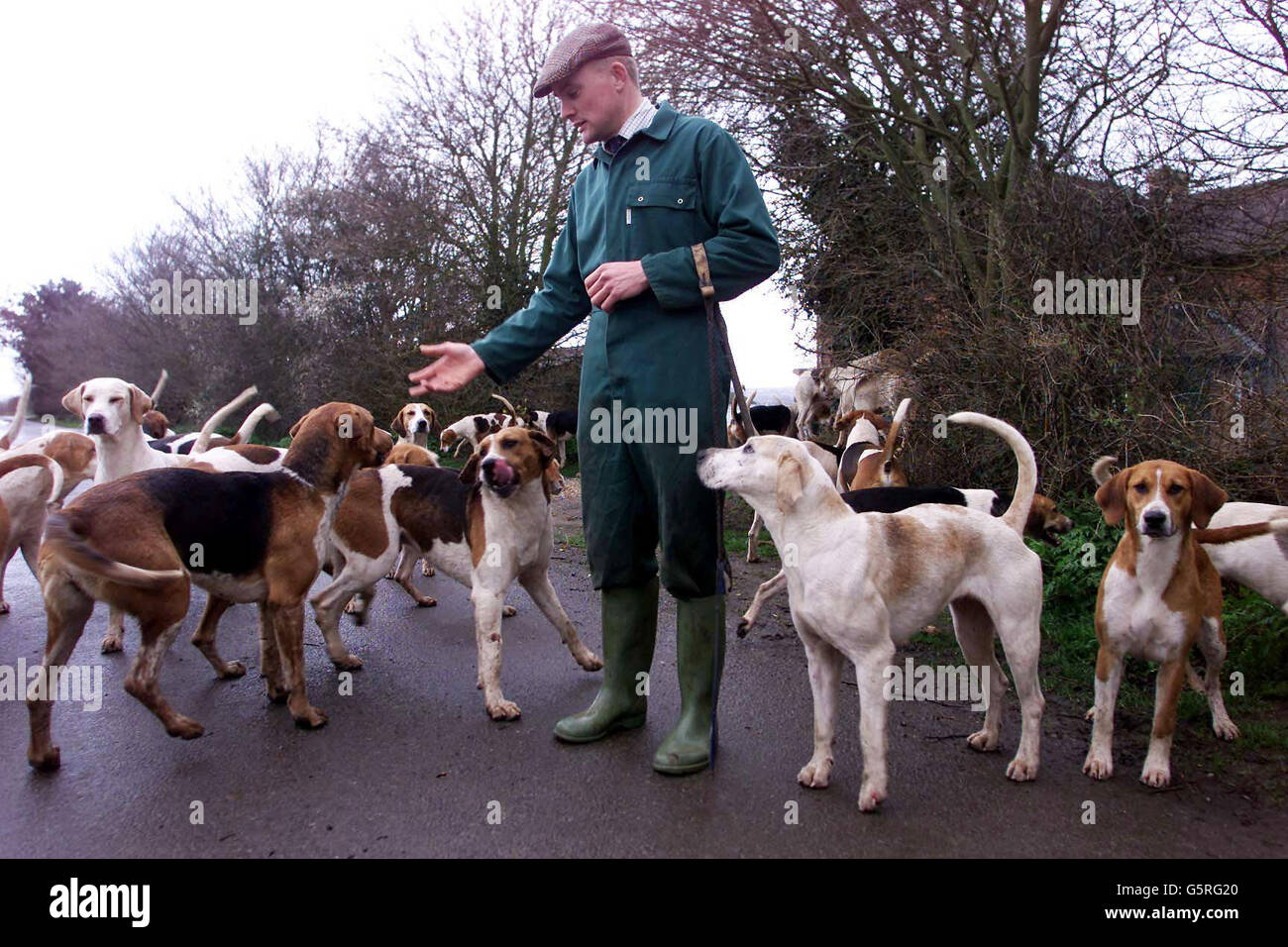 Robert McCarthy, Huntsman for the Essex and Suffolk Hunt, exercises the