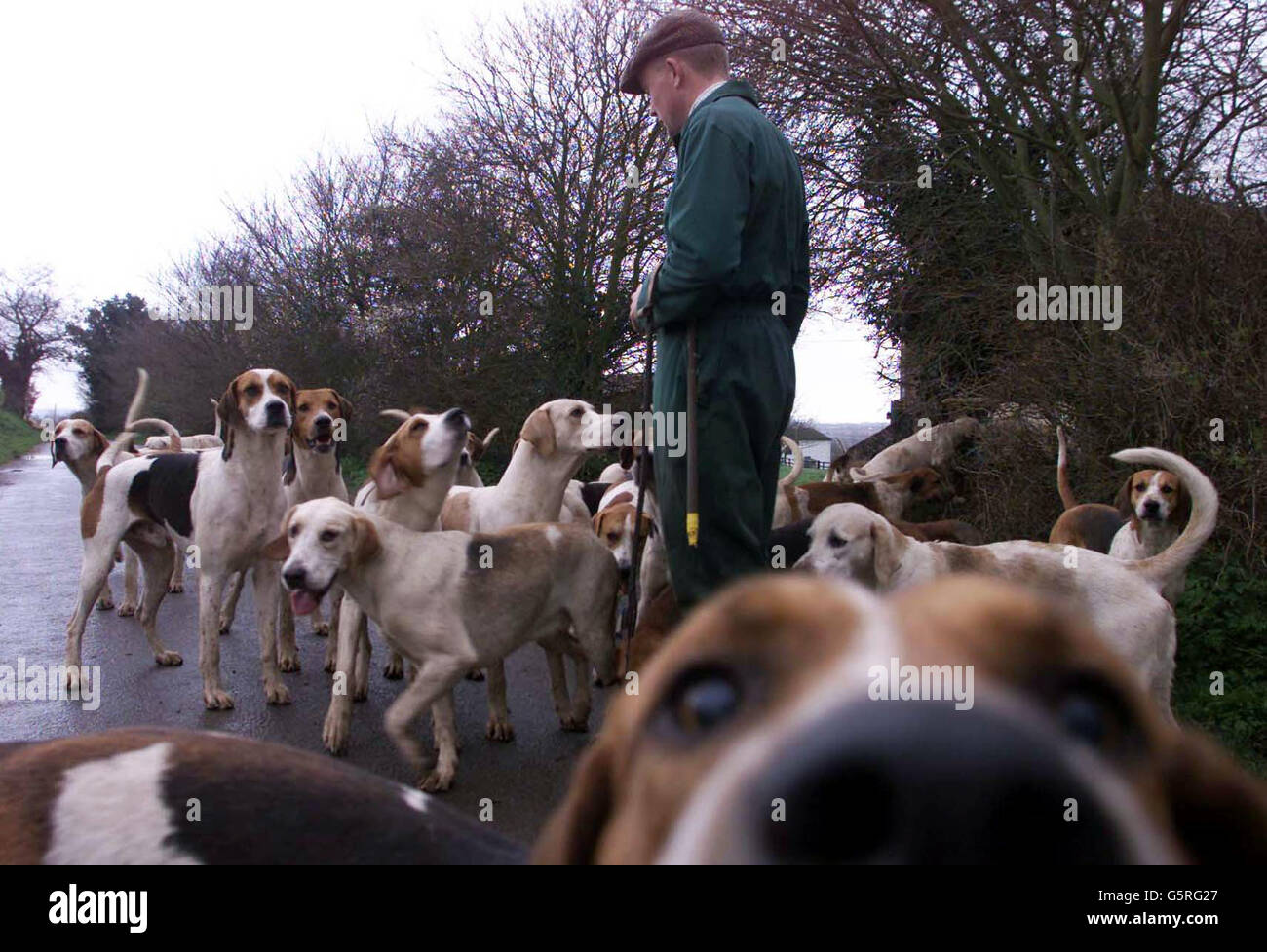 Robert McCarthy, Huntsman for the Essex and Suffolk Hunt, exercises the