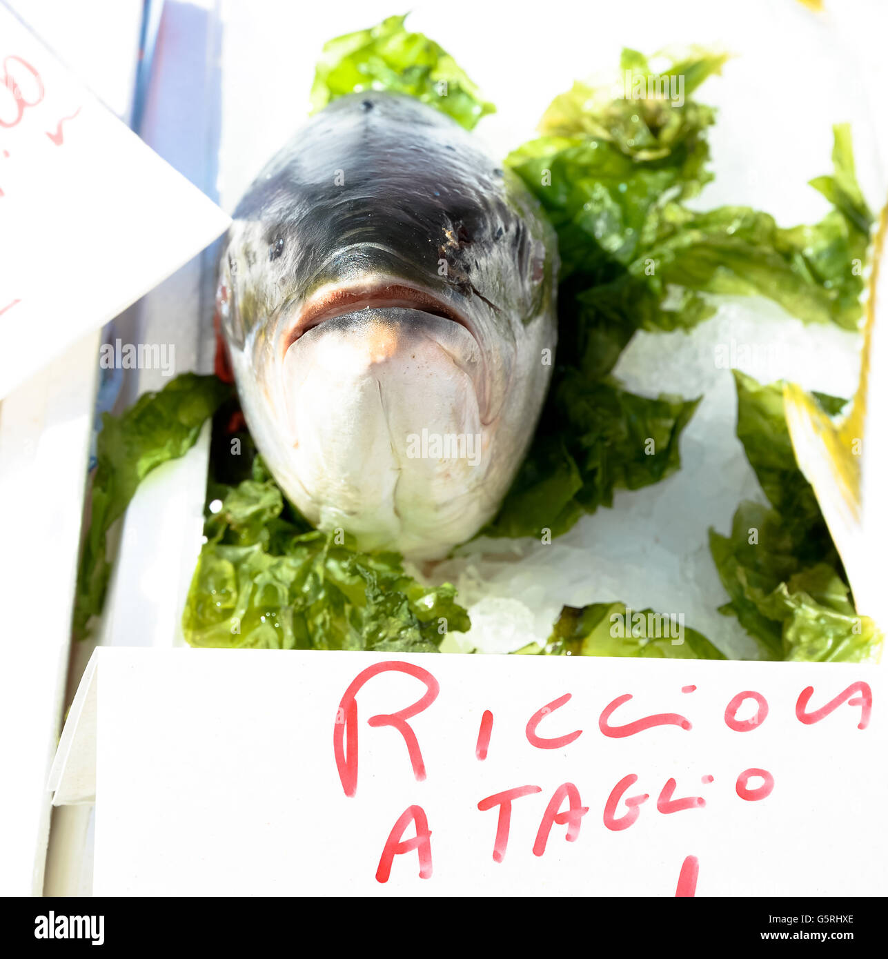 Fish Riciolla Food yellowtail snapper hi-res stock photography and images - Alamy
