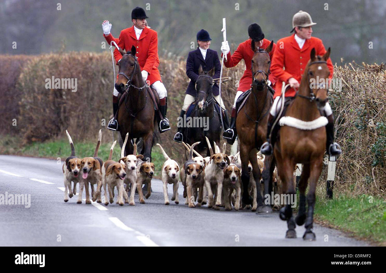 Essex And Suffolk Hunt High Resolution Stock Photography and Images Alamy