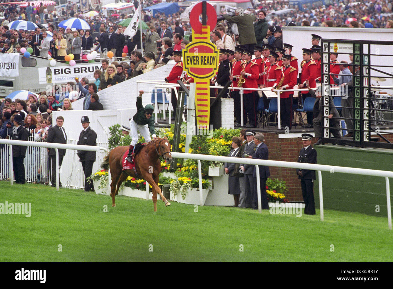 Action horse horses jockey archivenewscansjanuary2013 hires stock