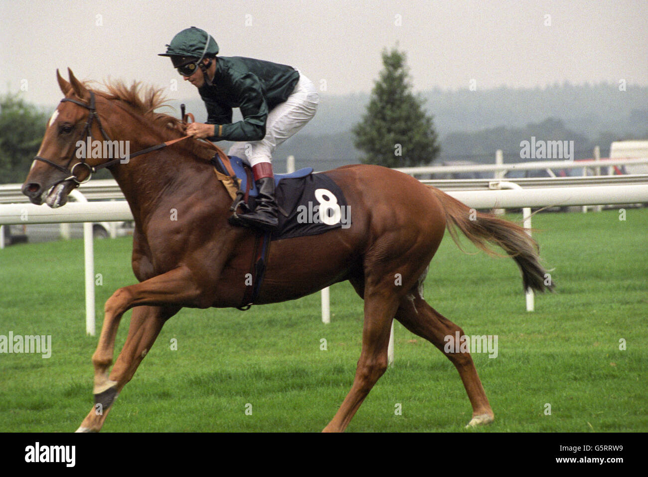 Horse Racing King VI and Queen Elizabeth Diamond Stakes
