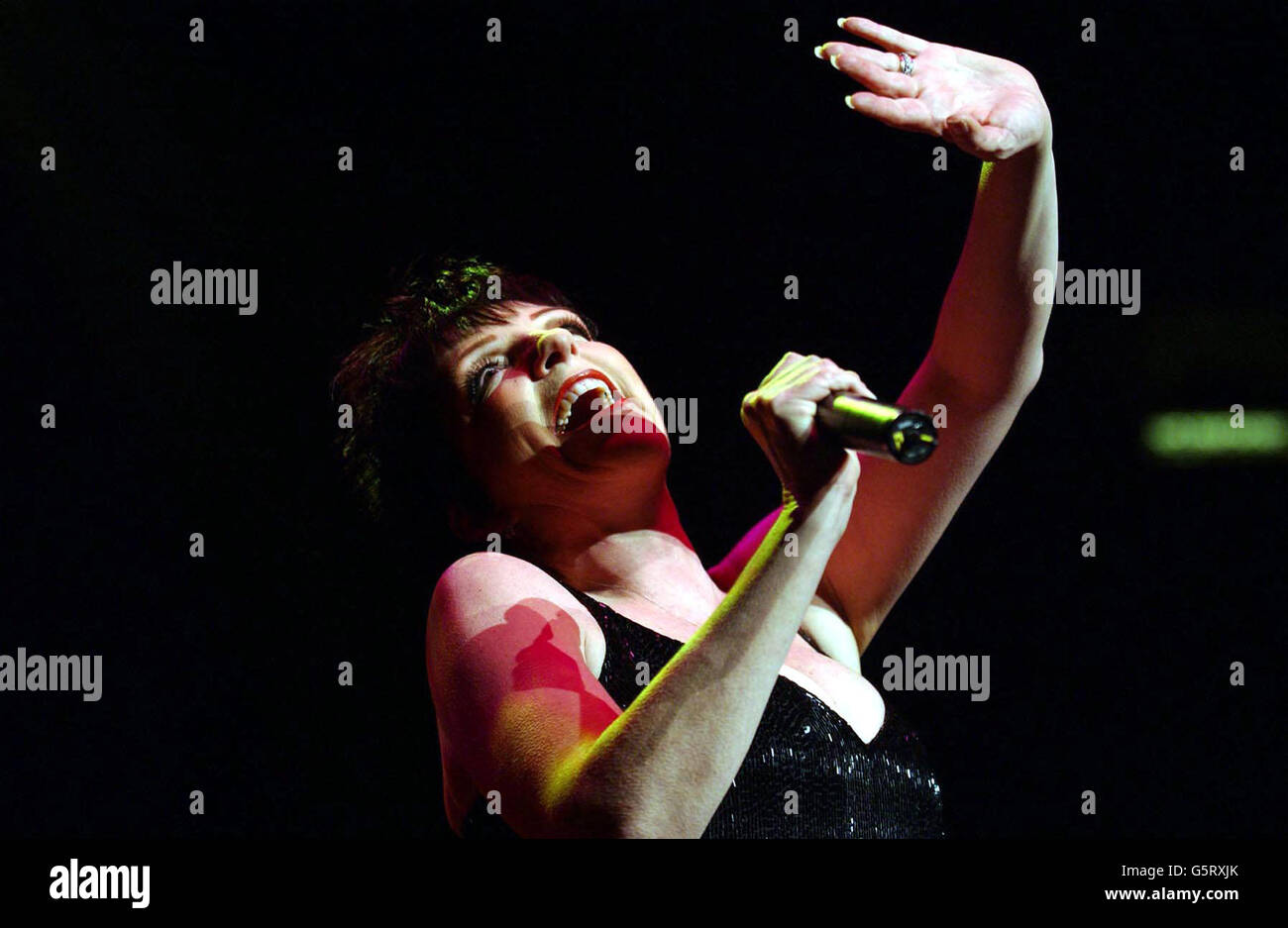 Liza Minnelli tour Stock Photo Alamy