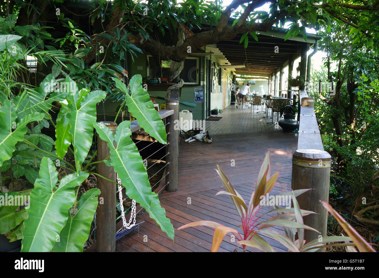 Out of the Blue cafe, Portland Roads, Cape York Peninsula, Queensland, Australia. No MR or PR Stock Photo
