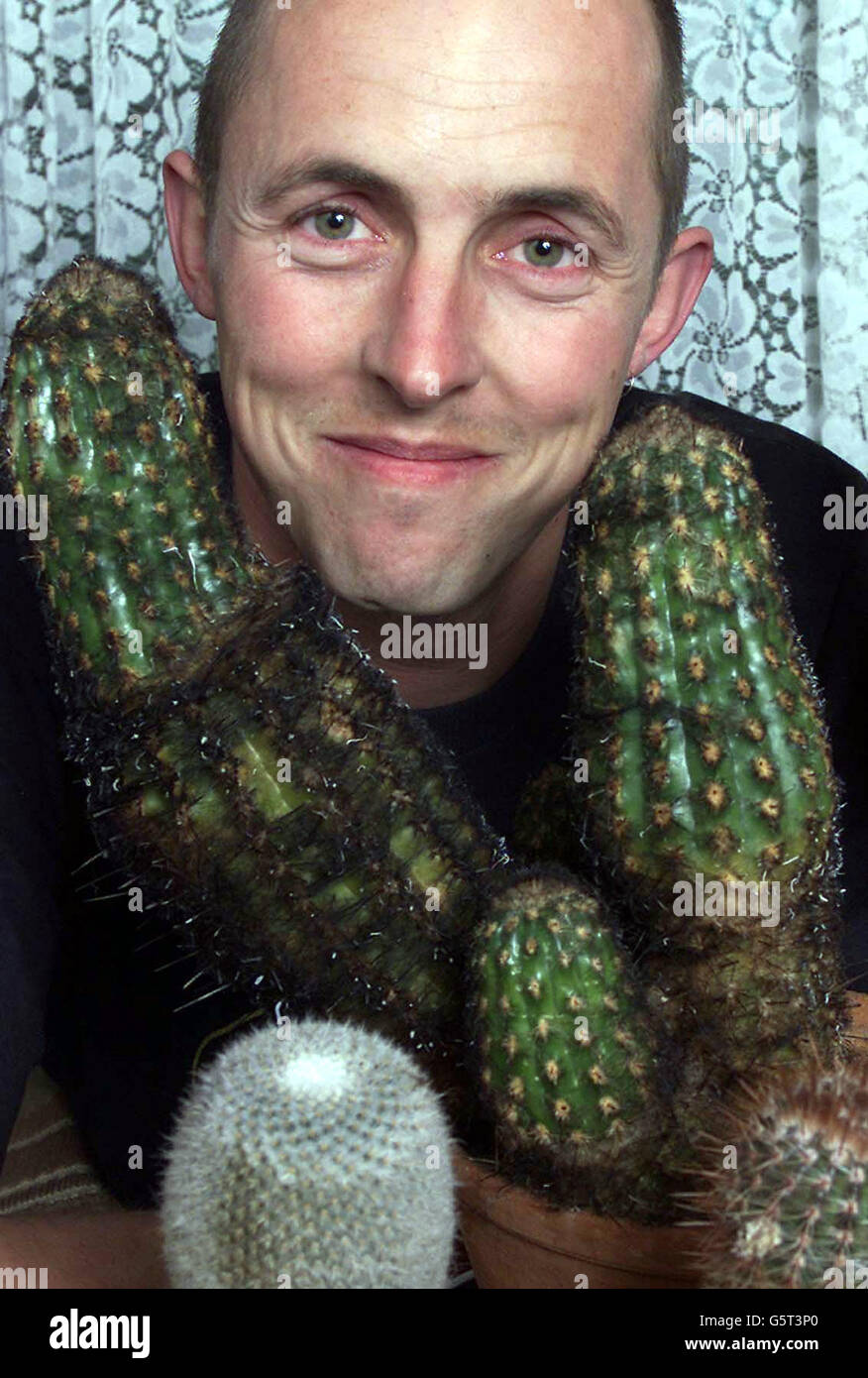 Paul Henson - exploding cactus Stock Photo - Alamy