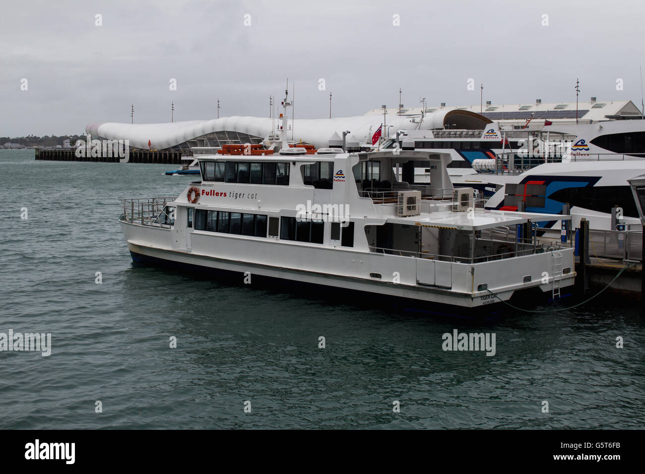 Fullers Auckland Ferry Tiger Cat Stock Photo