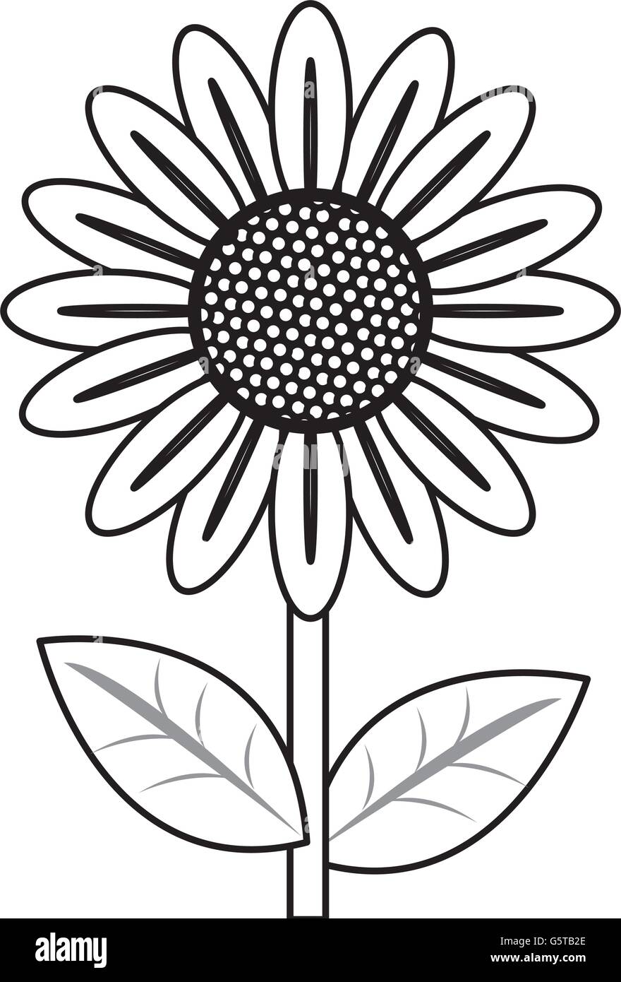 black line flower icon Stock Vector Image & Art - Alamy