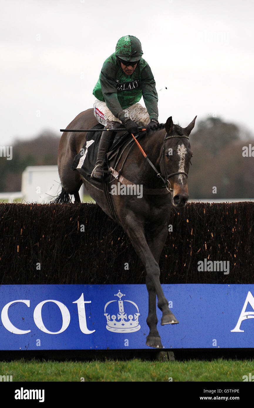 Goldback hires stock photography and images Alamy