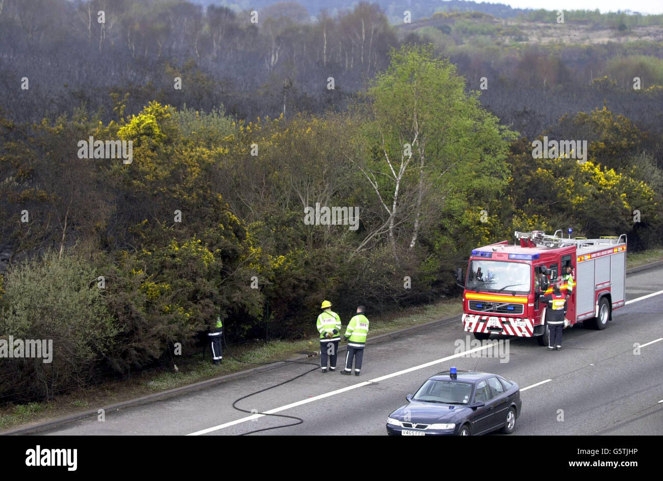 Fire fighters dampen down trees Stock Photo