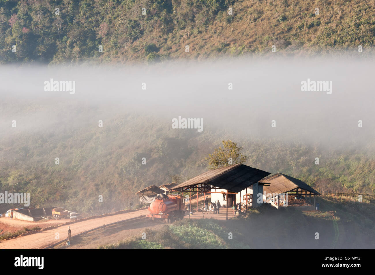 Mist mountain Doiangkhang in Chiangmai,Thailand Stock Photo