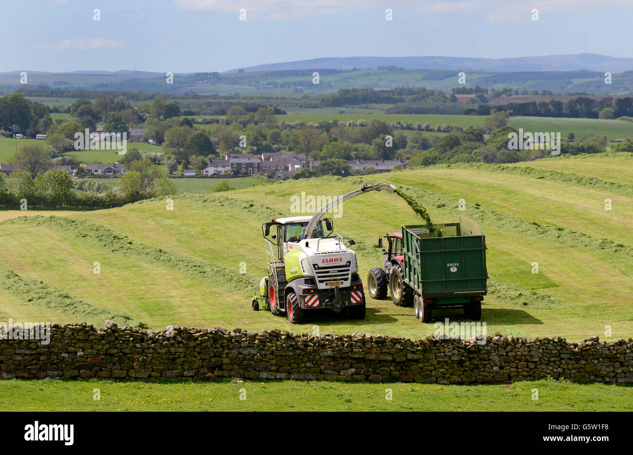 Farmers grass cutting for silage at Brampton, Cumbria, England. Stock Photo