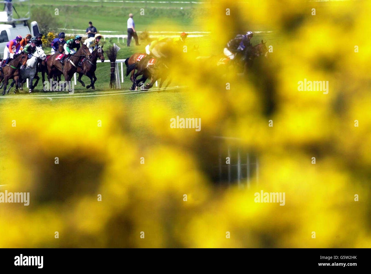 National Hunt Festival Stock Photo Alamy