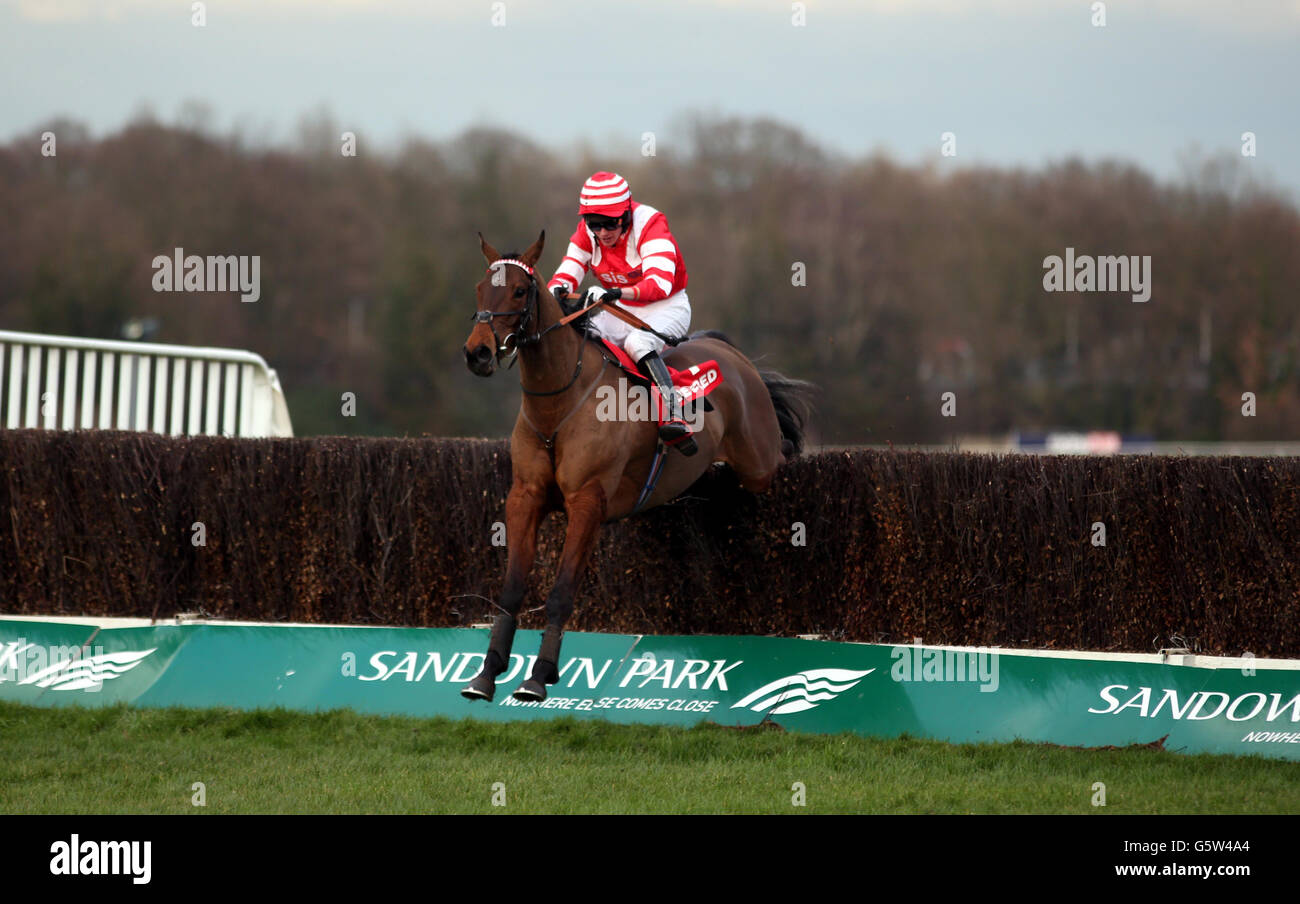 On Trend ridden by Tom Cannon wins the Betfred Masters Handicap Steeple Chase during the Betfred Masters Day at Sandown Park Racecourse, Surrey. Stock Photo