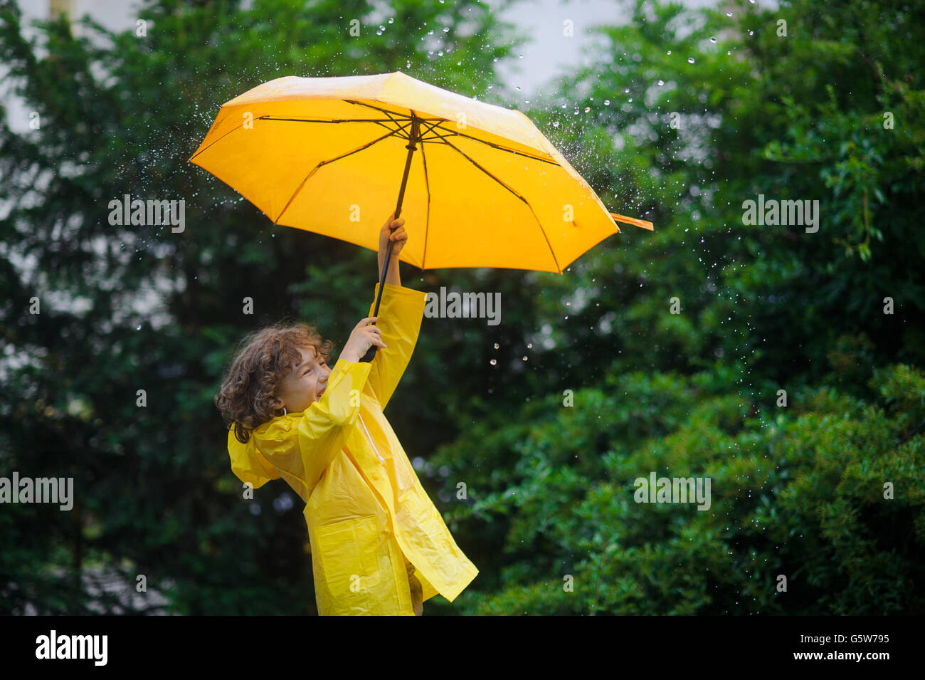 Laddie with a bright yellow umbrella in the rain. He loves a rain and