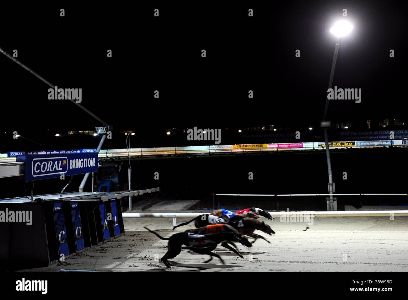 Greyhound Race Start High Resolution Stock Photography And Images Alamy