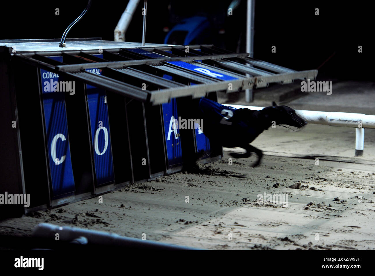 Greyhound Racing Coral Brighton And Hove Greyhound Stadium Hi res Stock greyhound-racing-coral-brighton-and-hove-greyhound-stadium-hi-res-stock