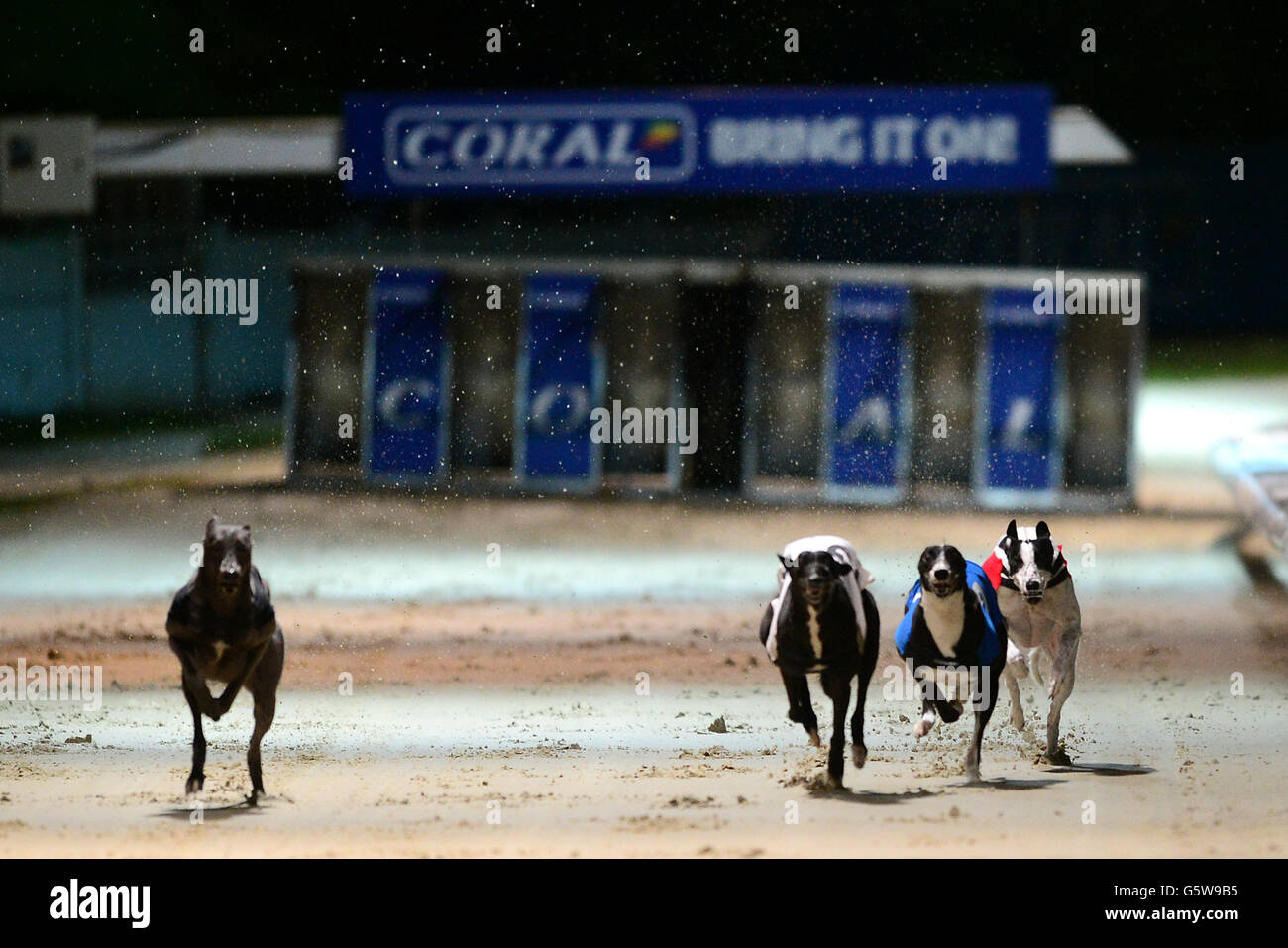 Dog Racing Trap High Resolution Stock Photography And Images Alamy