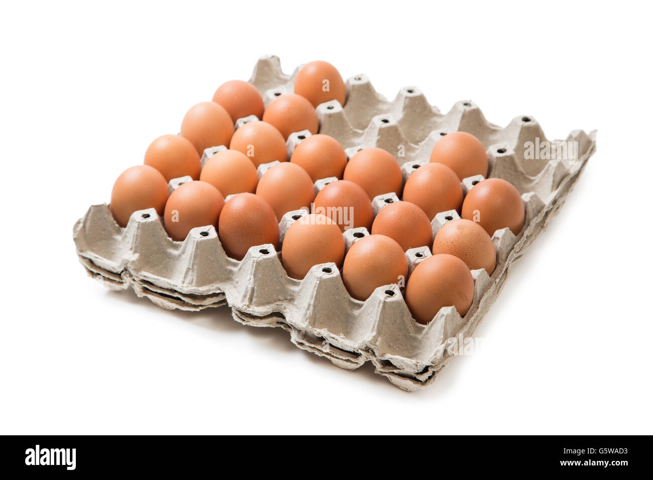 eggs pack panel ingredient prepare for food in restaurant isolated on white background Stock Photo