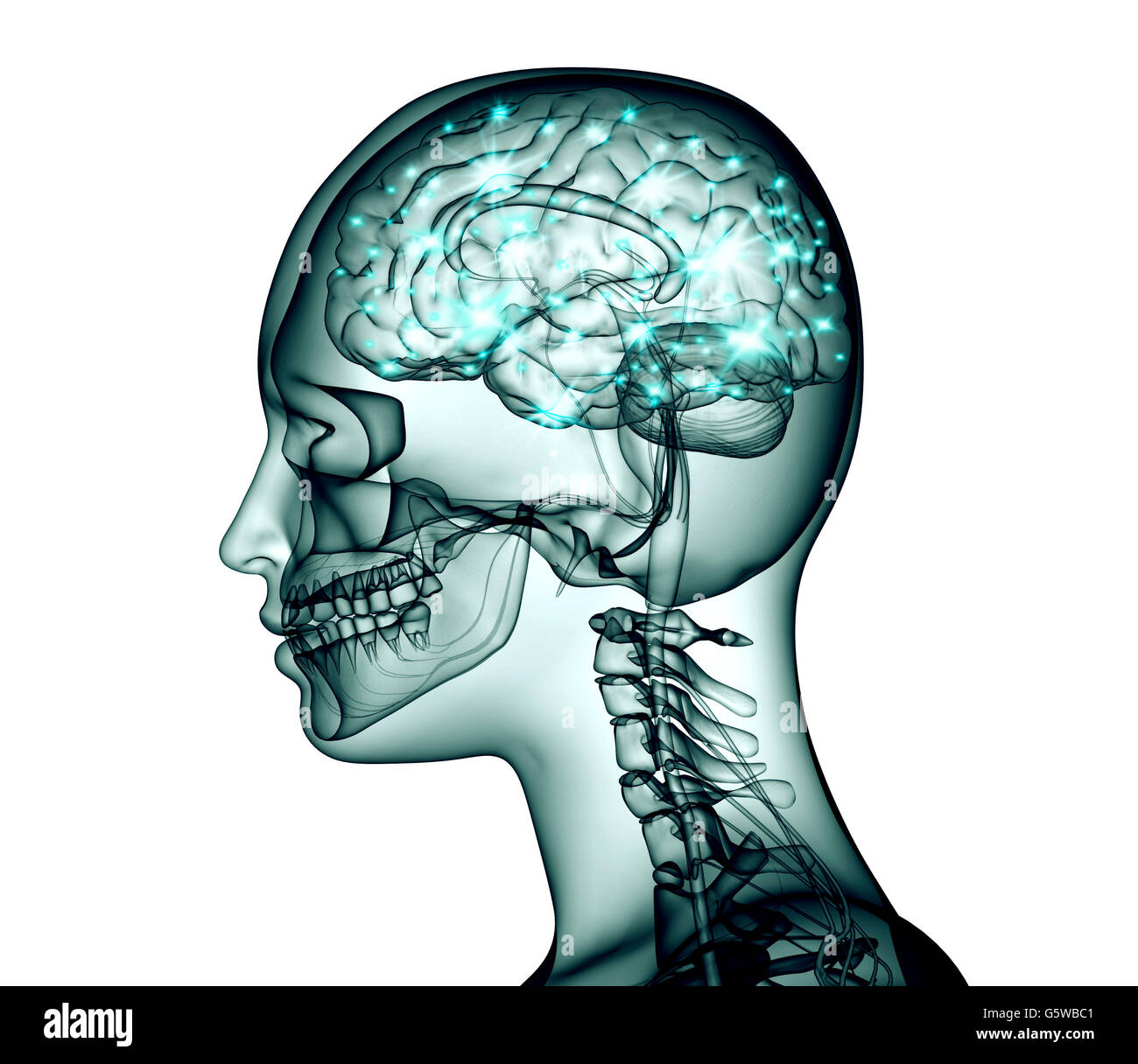 x-ray image of human head with brain and electric pulses, 3d ...
